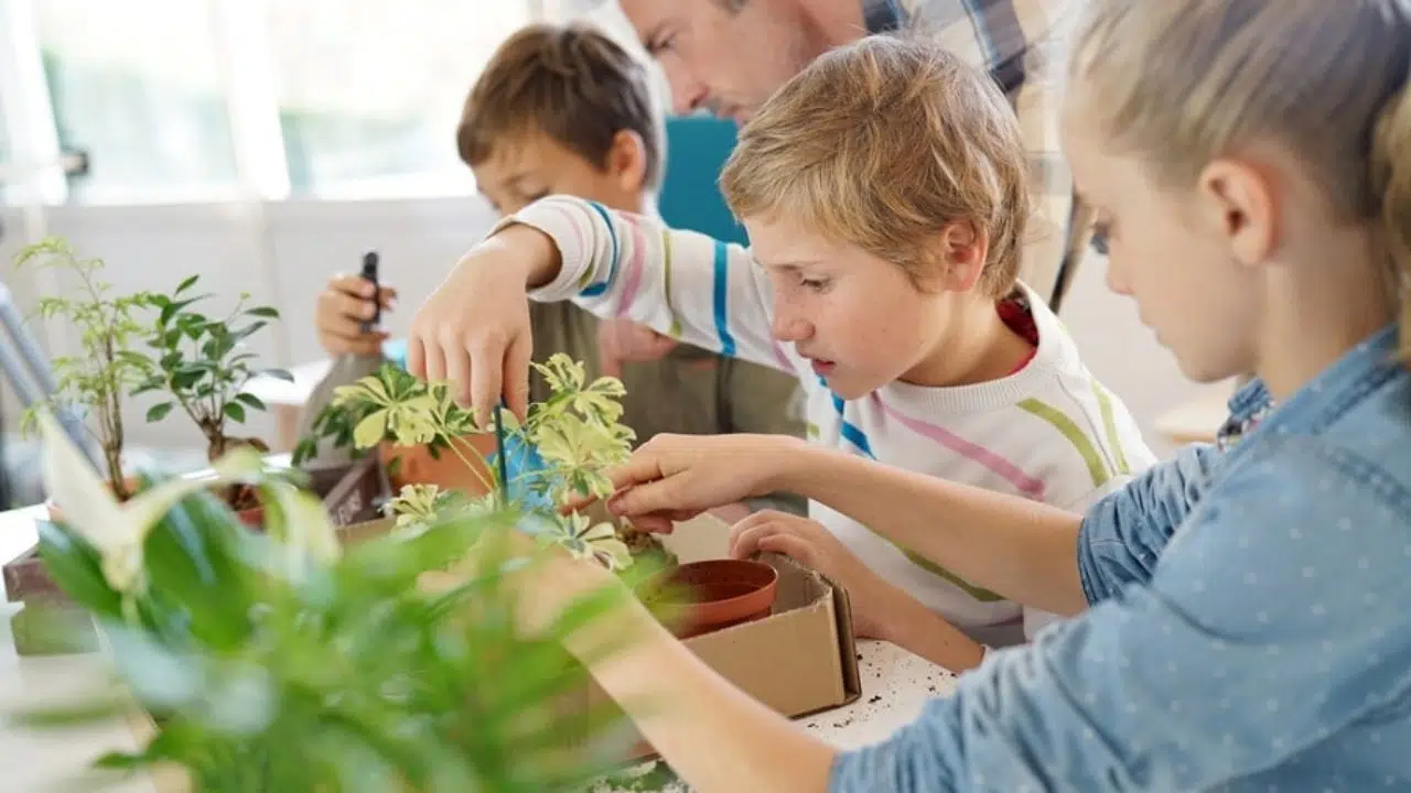 trouver une école qui forme dans l’environnement